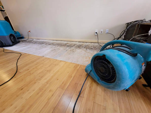 Professional Water Removal technician working in Temple, NH